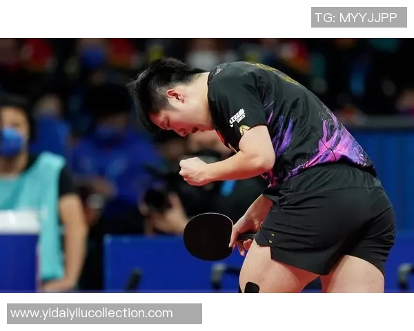 南京网球队反击之路的得与失全面分析与展望