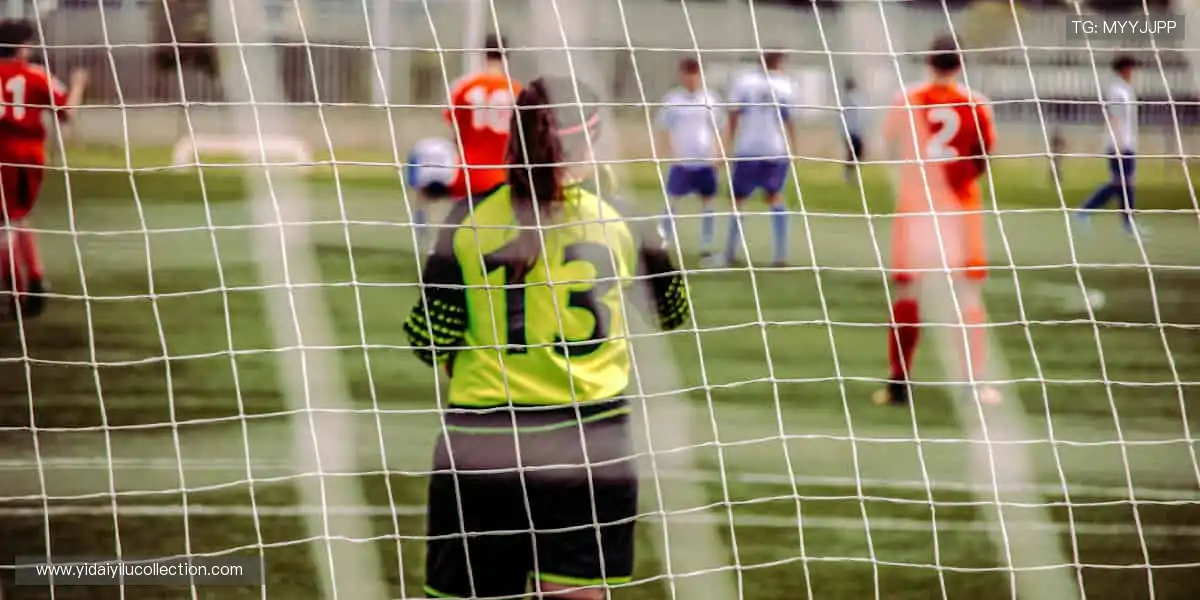 🎧 沉浸式解说，让每一次进球都震撼你的耳膜！🎙